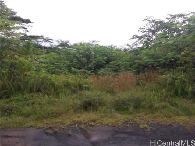 0 Paradise Road Pahoa, HI 96778 - Photo 1 of 1 Gallery Image 1