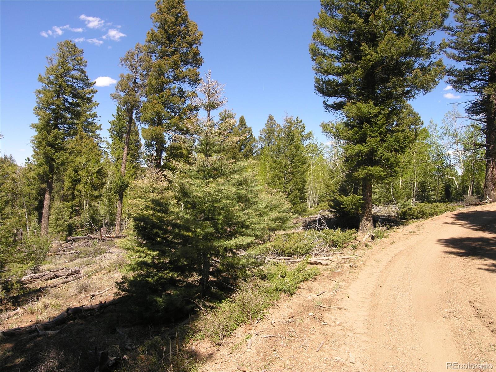 Lot 28 Copper Mountain Roads Cotopaxi, CO 81223 - Photo 11 of 14