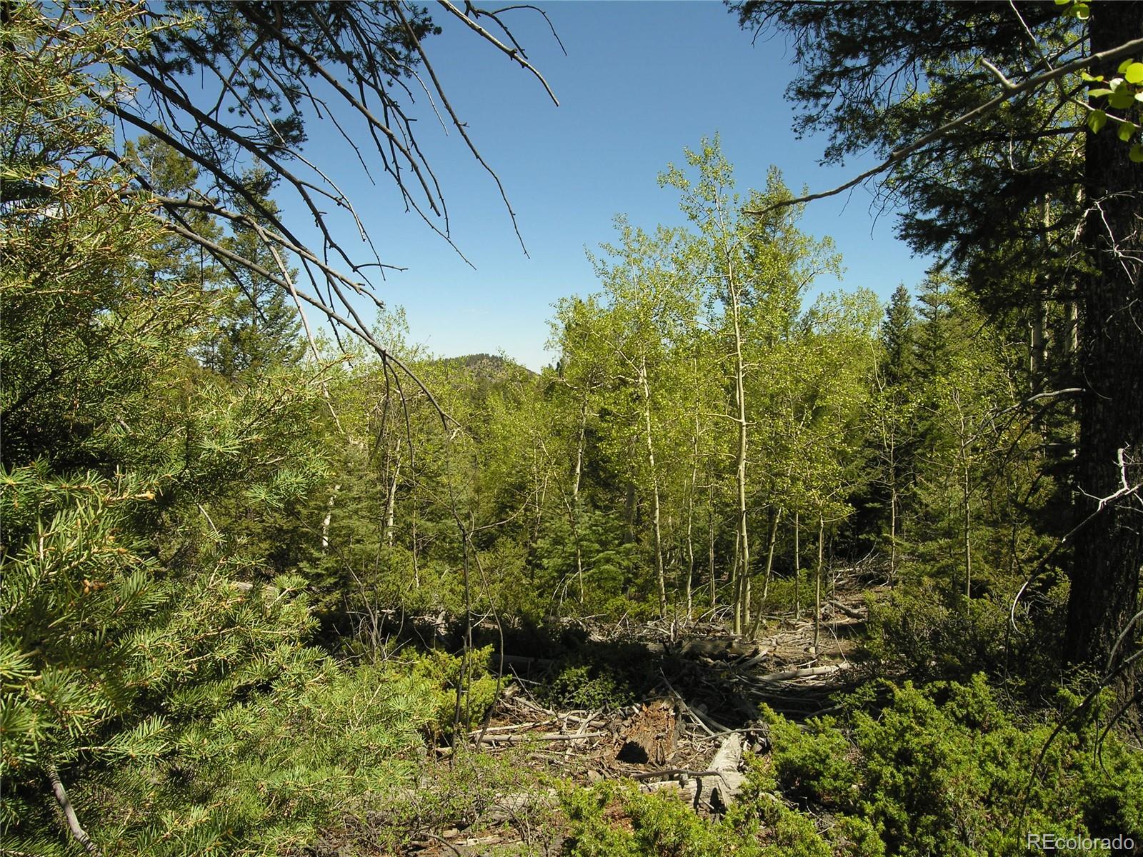 Lot 28 Copper Mountain Roads Cotopaxi, CO 81223 - Photo 14 of 14