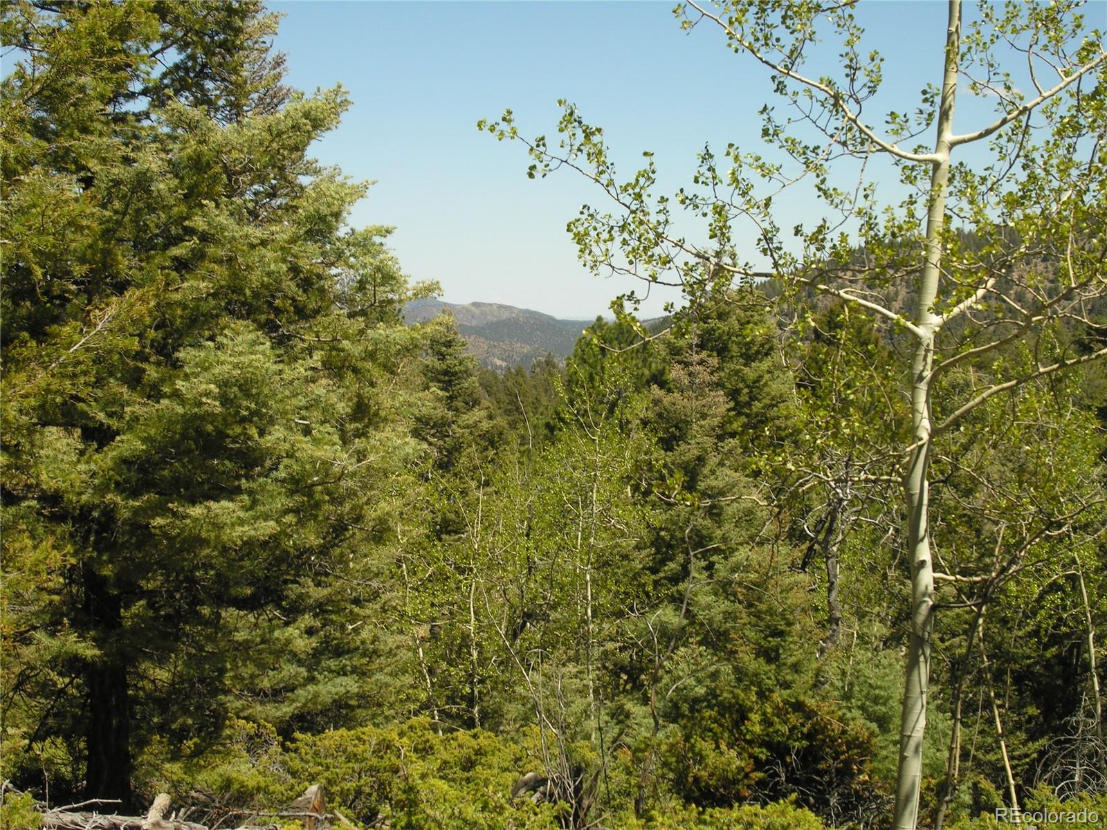 Lot 28 Copper Mountain Roads Cotopaxi, CO 81223 - Photo 2 of 14