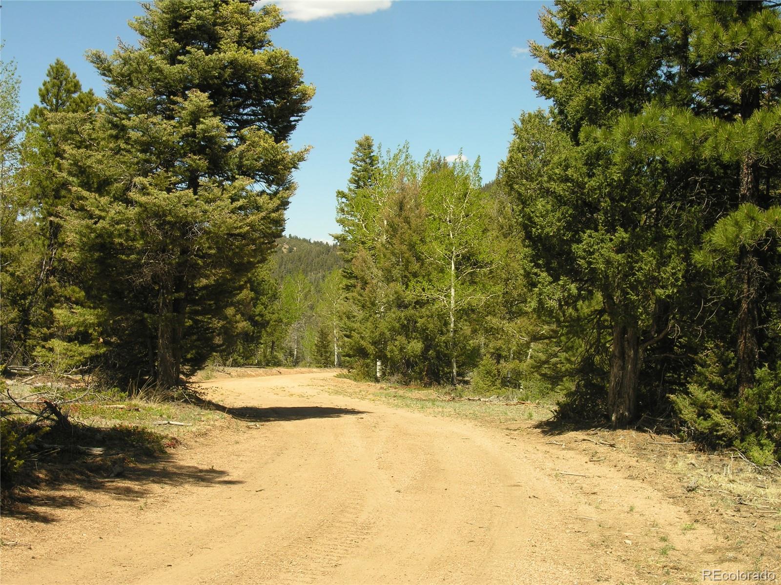 Lot 28 Copper Mountain Roads Cotopaxi, CO 81223 - Photo 3 of 14