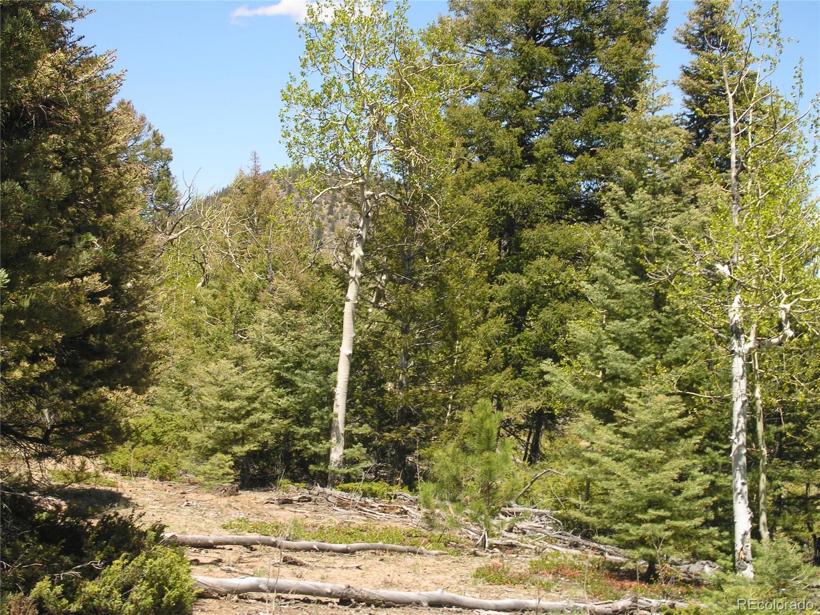 Lot 28 Copper Mountain Roads Cotopaxi, CO 81223 - Photo 4 of 14