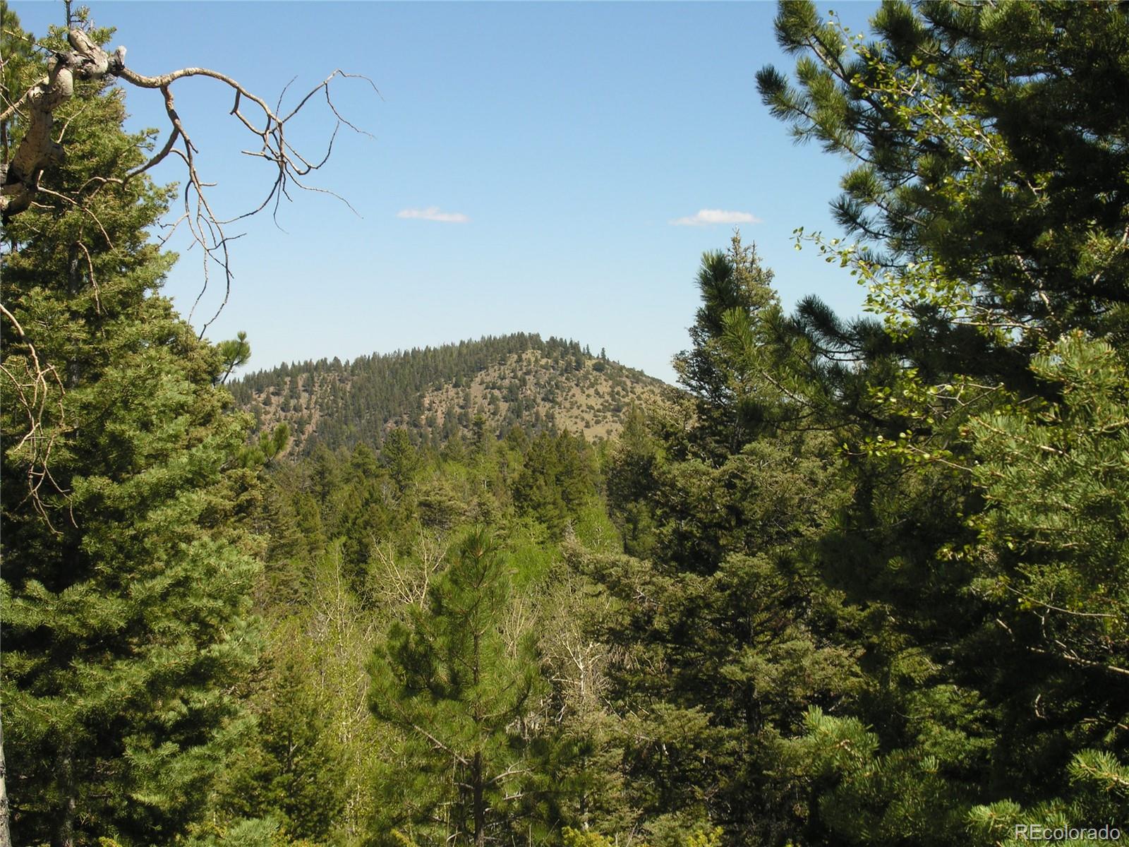 Lot 28 Copper Mountain Roads Cotopaxi, CO 81223 - Photo 5 of 14