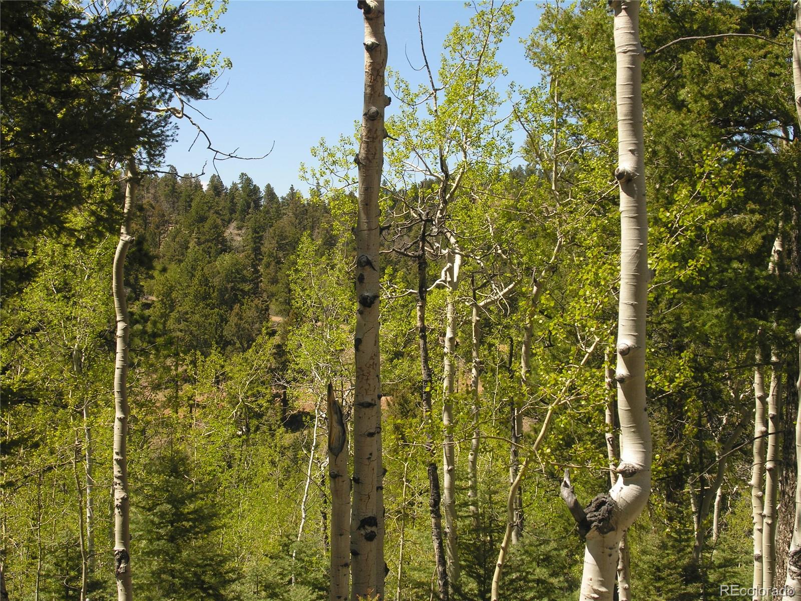 Lot 28 Copper Mountain Roads Cotopaxi, CO 81223 - Photo 7 of 14