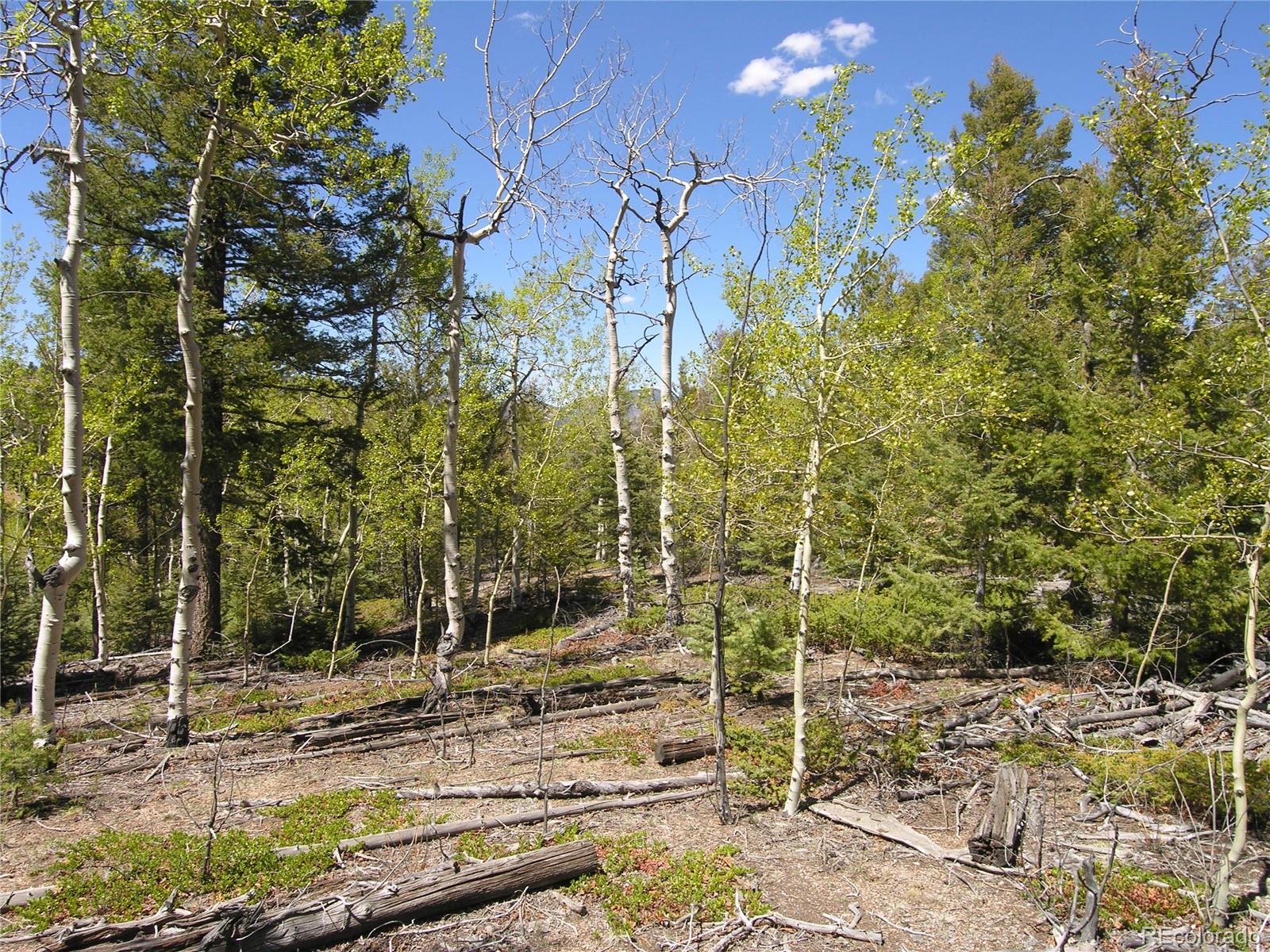 Lot 28 Copper Mountain Roads Cotopaxi, CO 81223 - Photo 8 of 14