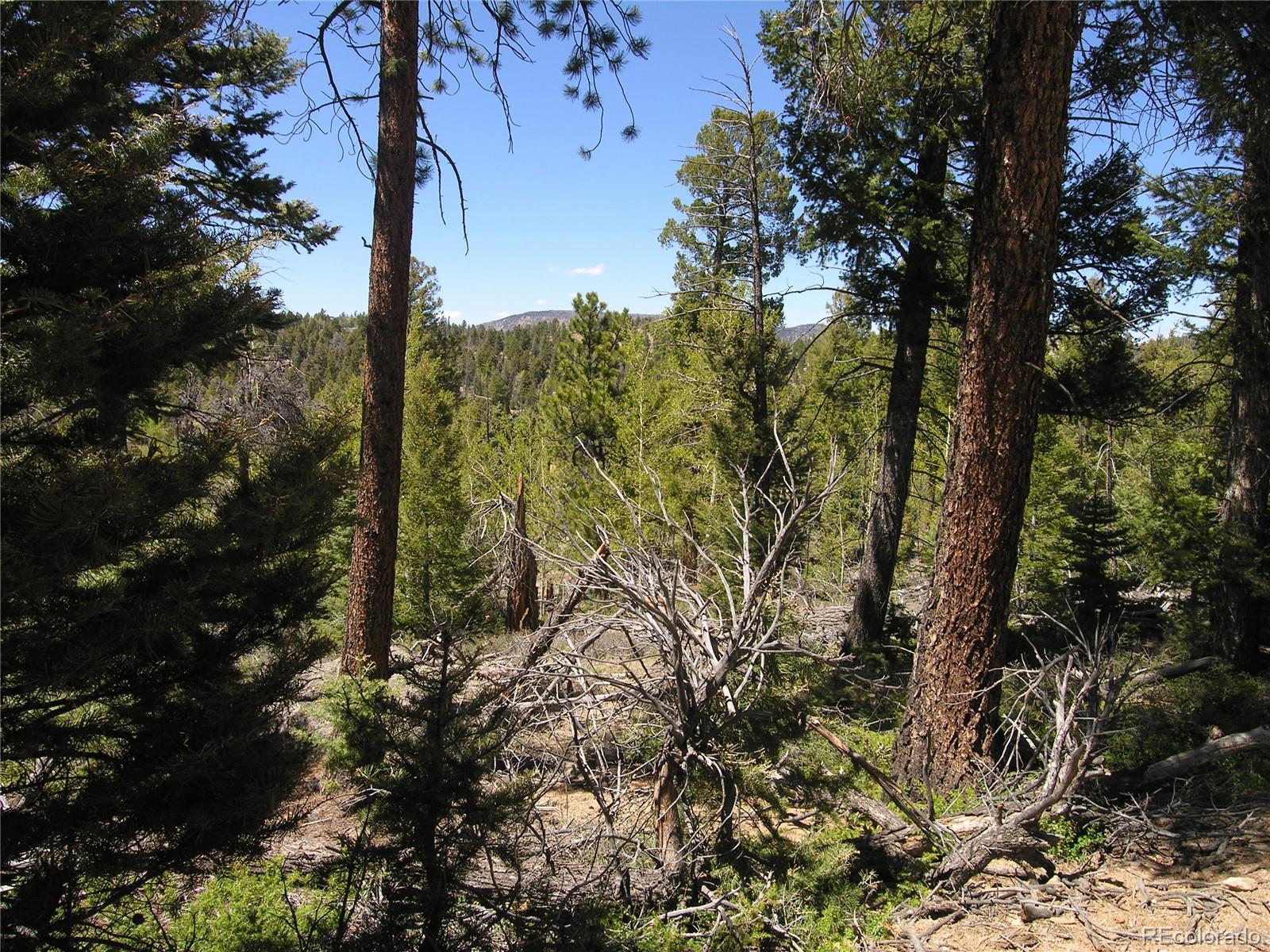 Lot 28 Copper Mountain Roads Cotopaxi, CO 81223 - Photo 9 of 14