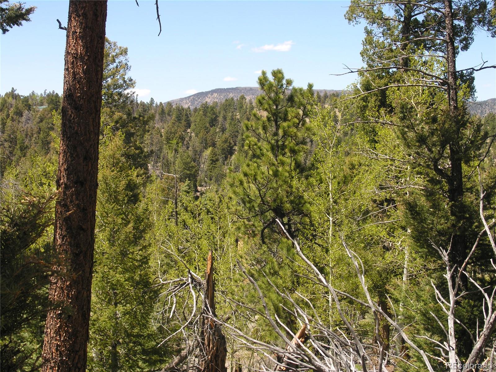 Lot 28 Copper Mountain Roads Cotopaxi, CO 81223 - Photo 10 of 14