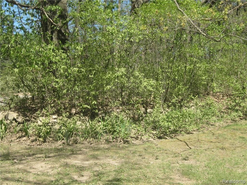 7251 Rattalee Lake Road Clarkston, MI 48348 - Photo 80 of 80 IMG_7061.JPG