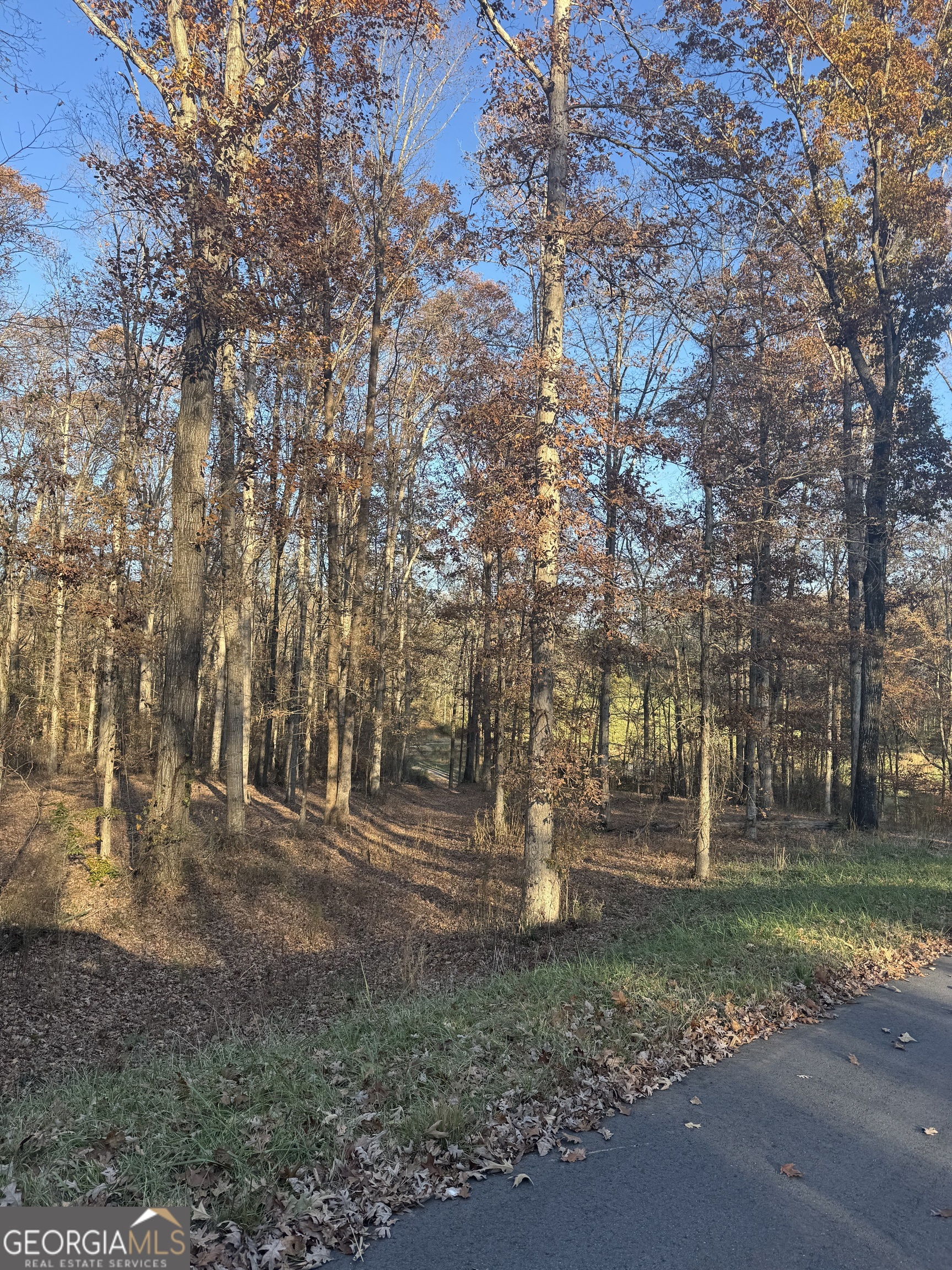 1475 Whispering Way Statham, GA 30666 - Photo 11 of 20