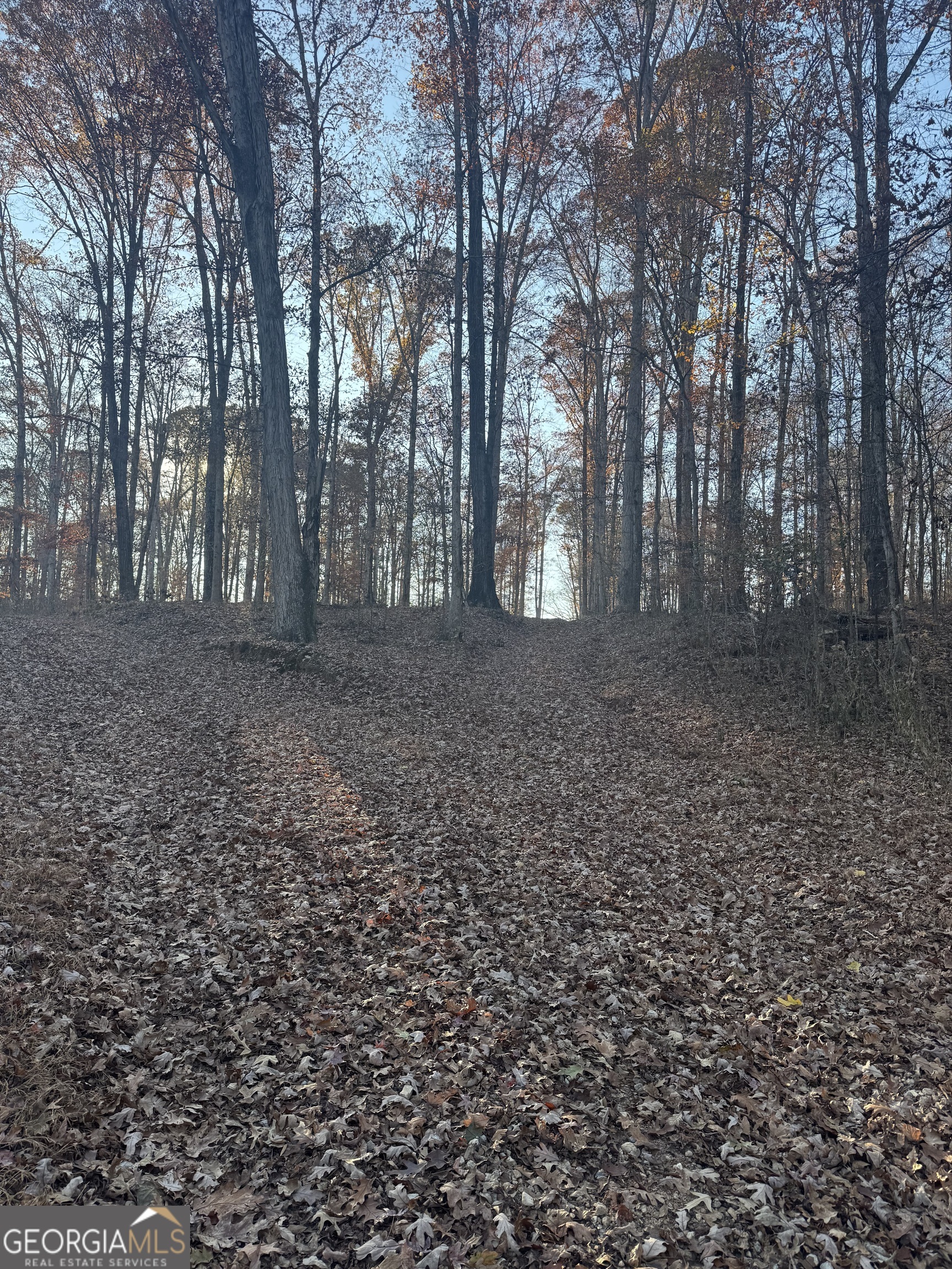 1475 Whispering Way Statham, GA 30666 - Photo 14 of 20