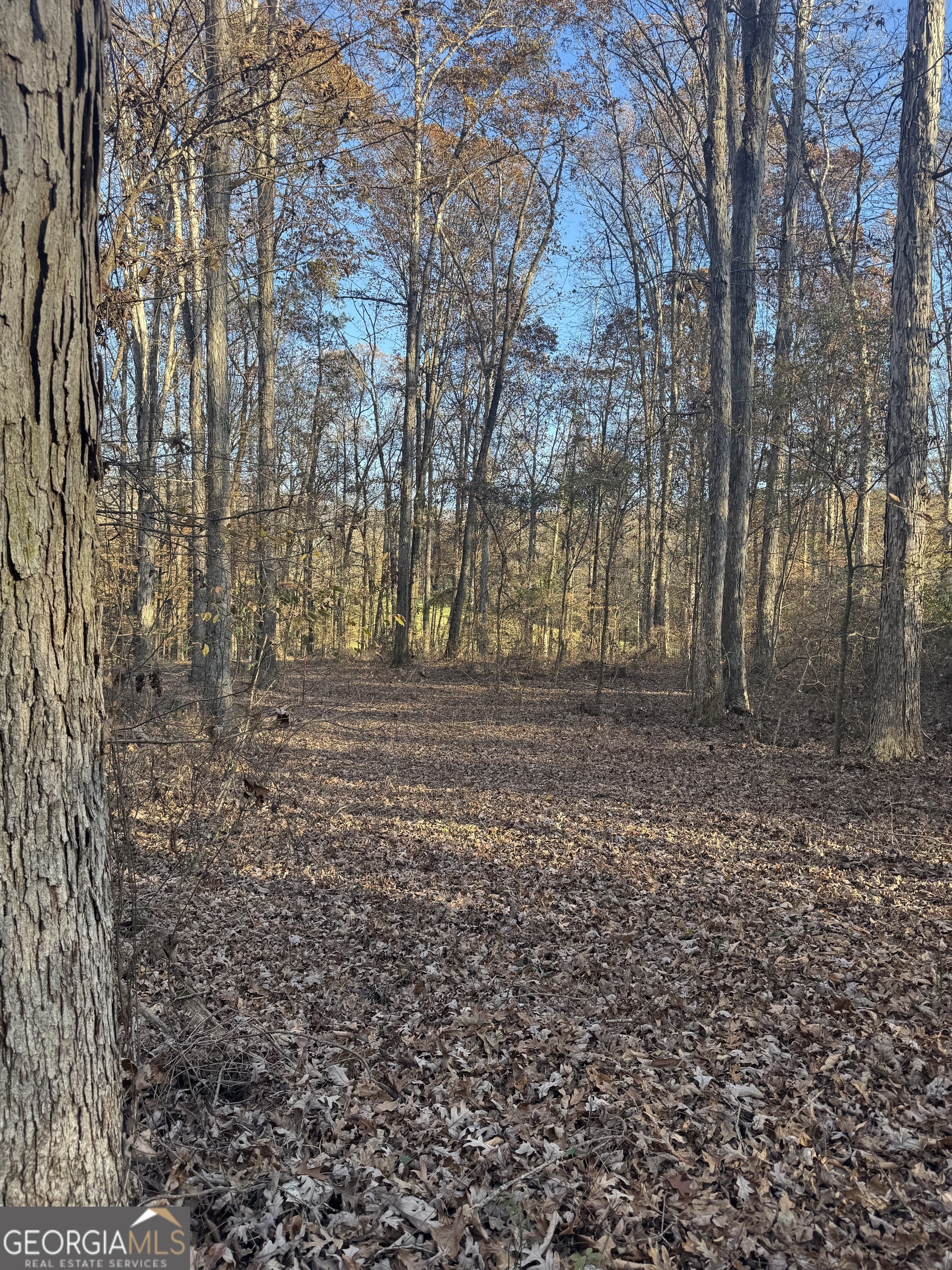 1475 Whispering Way Statham, GA 30666 - Photo 3 of 20