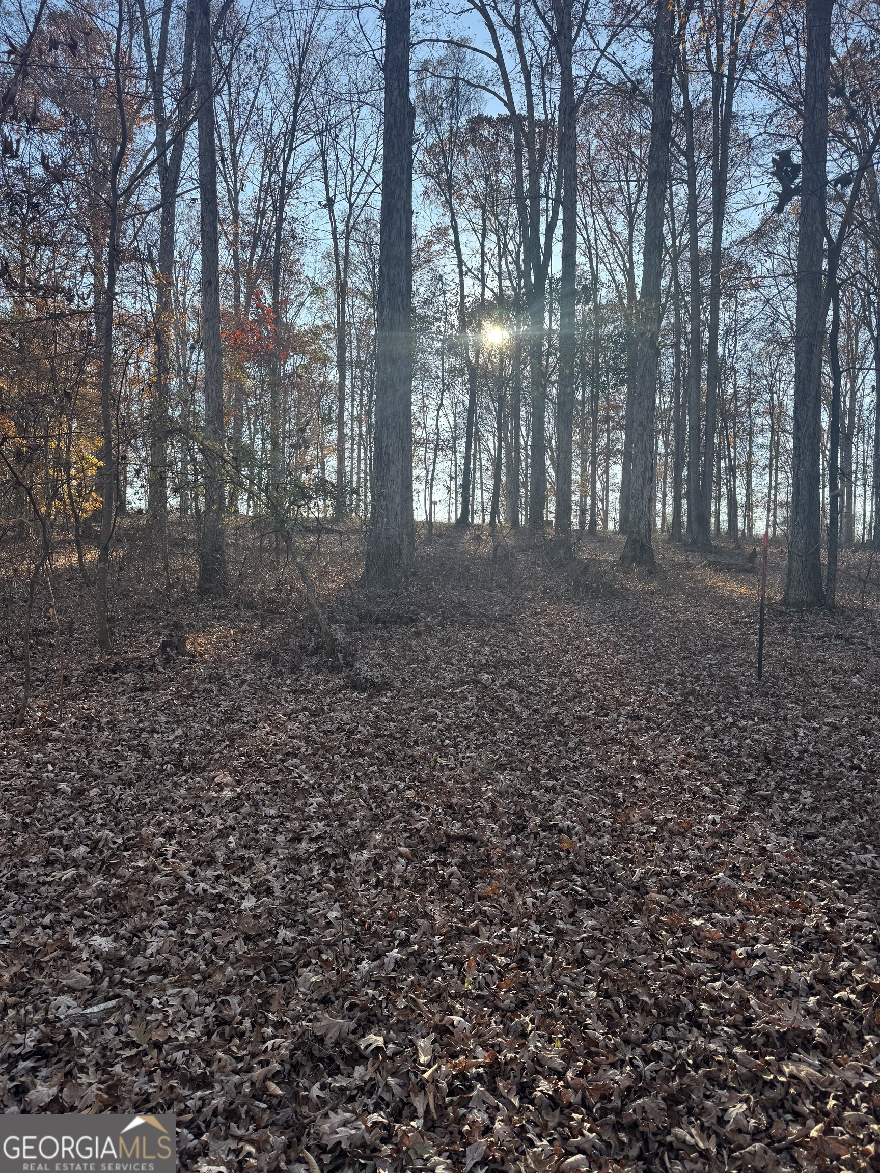 1475 Whispering Way Statham, GA 30666 - Photo 4 of 20