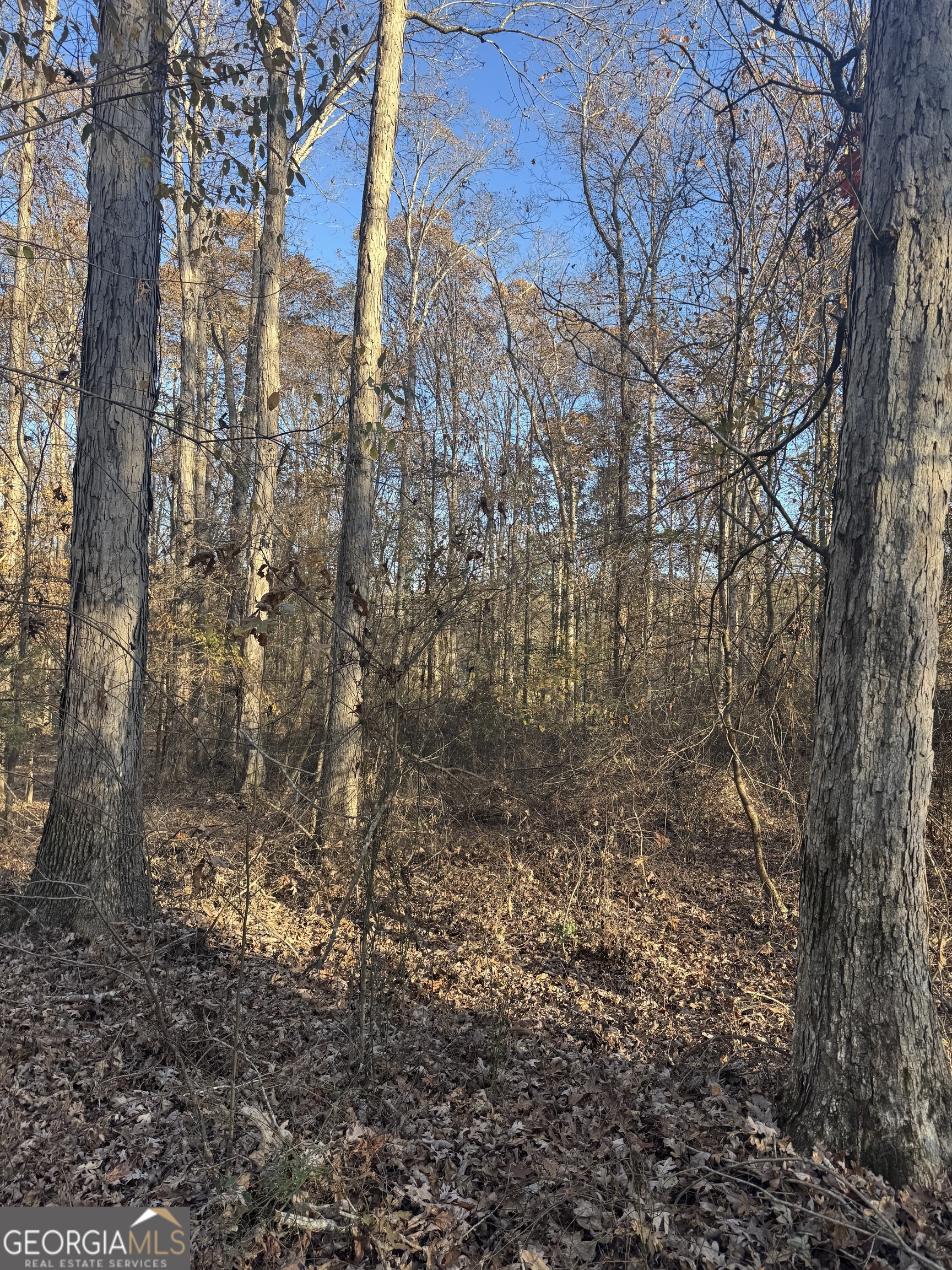 1475 Whispering Way Statham, GA 30666 - Photo 5 of 20