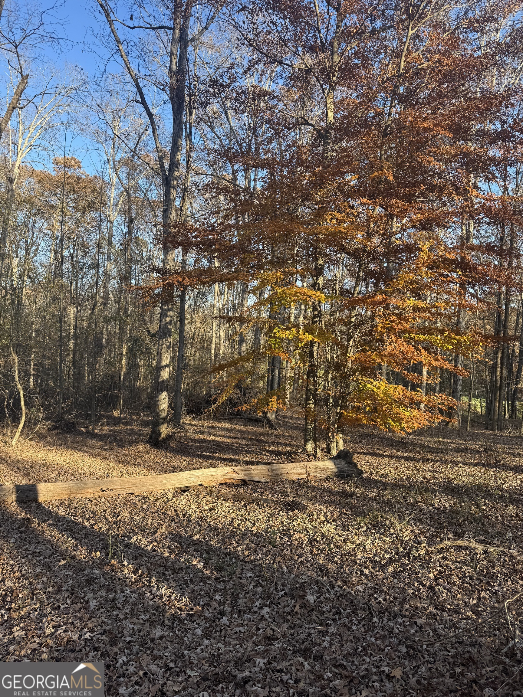 1475 Whispering Way Statham, GA 30666 - Photo 7 of 20