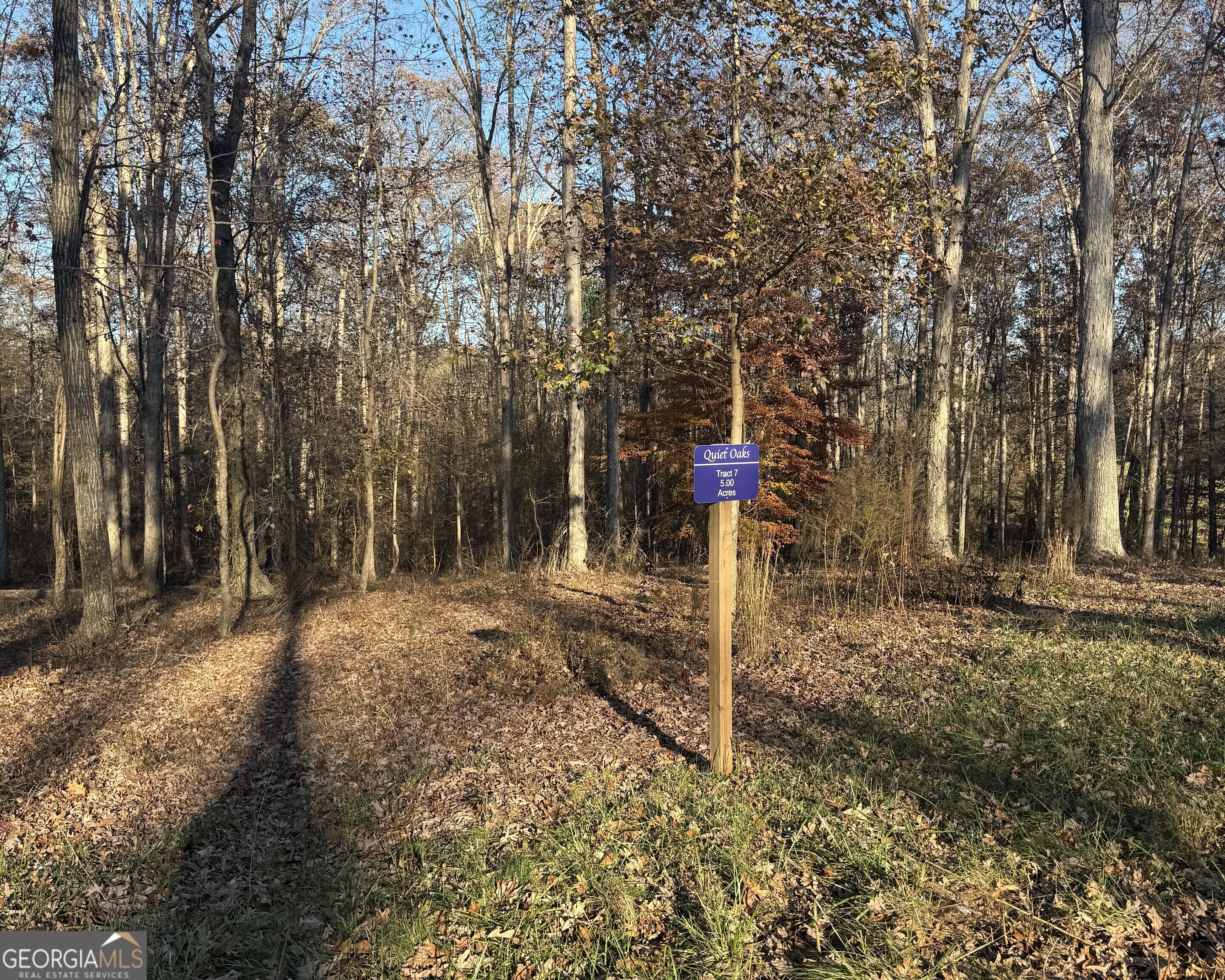 1475 Whispering Way Statham, GA 30666 - Photo 8 of 20