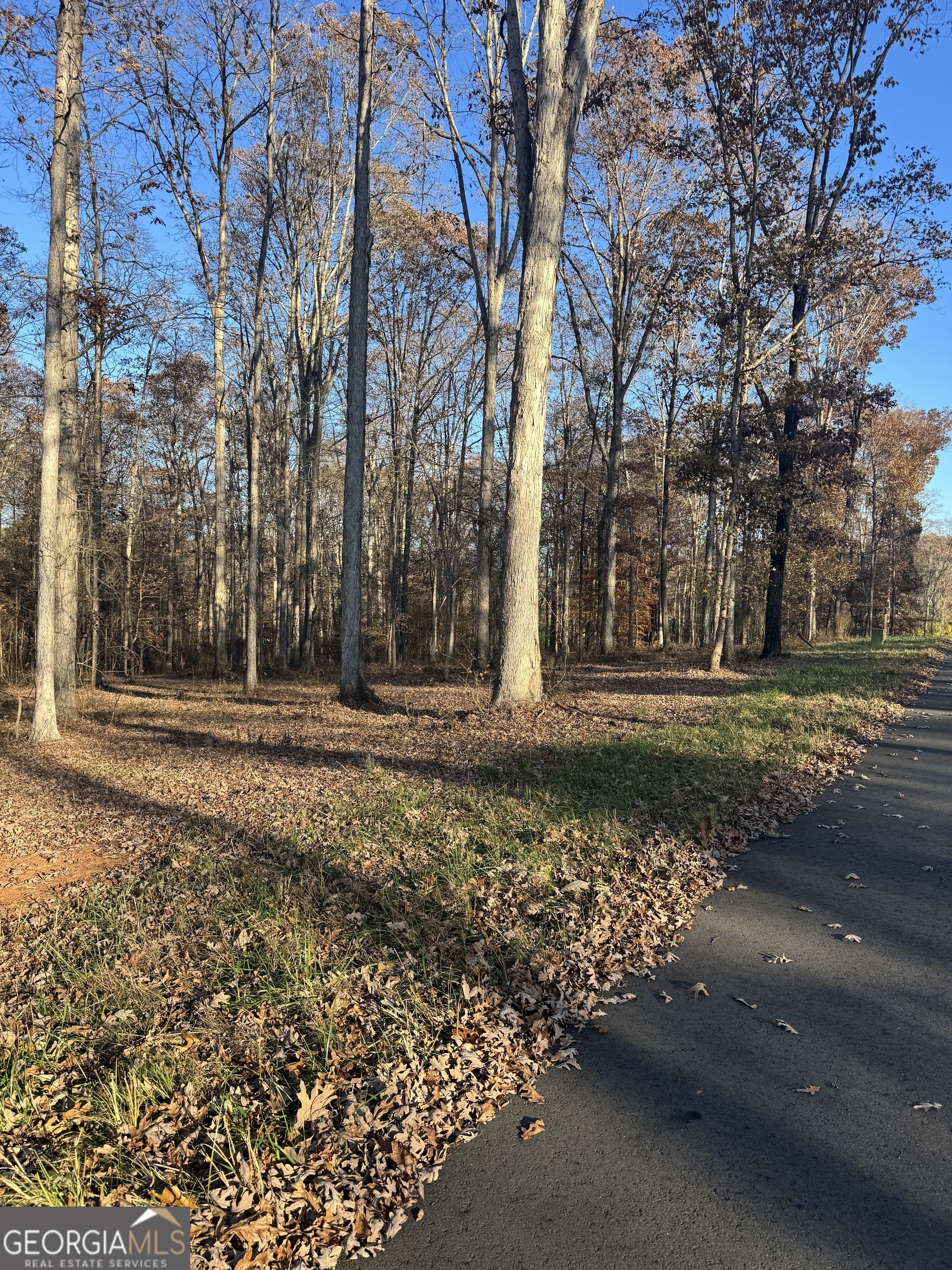 1475 Whispering Way Statham, GA 30666 - Photo 9 of 20