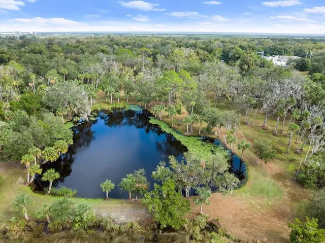 $1,950,000 | 5906 John Anderson Highway, Flagler Beach, FL 32136