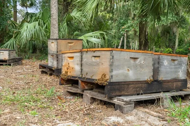 $1,950,000 | 5906 John Anderson Highway, Flagler Beach, FL 32136