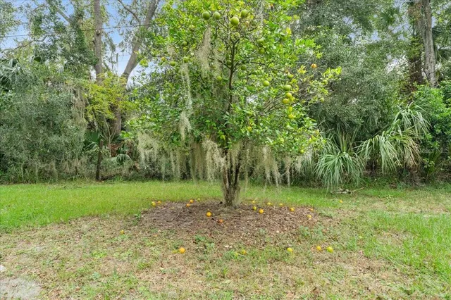 $1,950,000 | 5906 John Anderson Highway, Flagler Beach, FL 32136