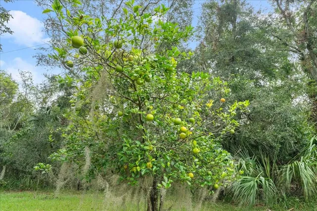 $1,950,000 | 5906 John Anderson Highway, Flagler Beach, FL 32136