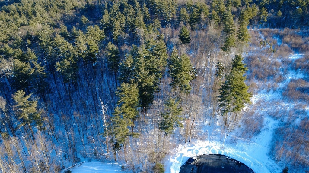 a view of a yard with plants
