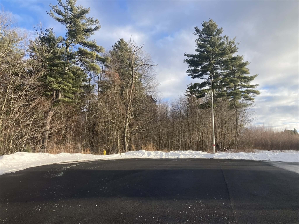 Lot 5 Suffolk Lane Gardner, MA 01440 - Photo 4 of 6 a view of a yard with a tree