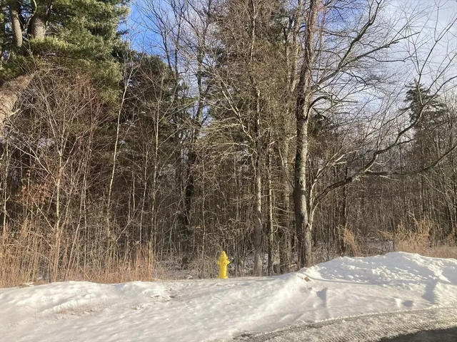 a view of a yard with trees