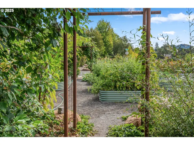 a view of a back yard