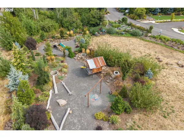 a view of a backyard with plants and a fountain
