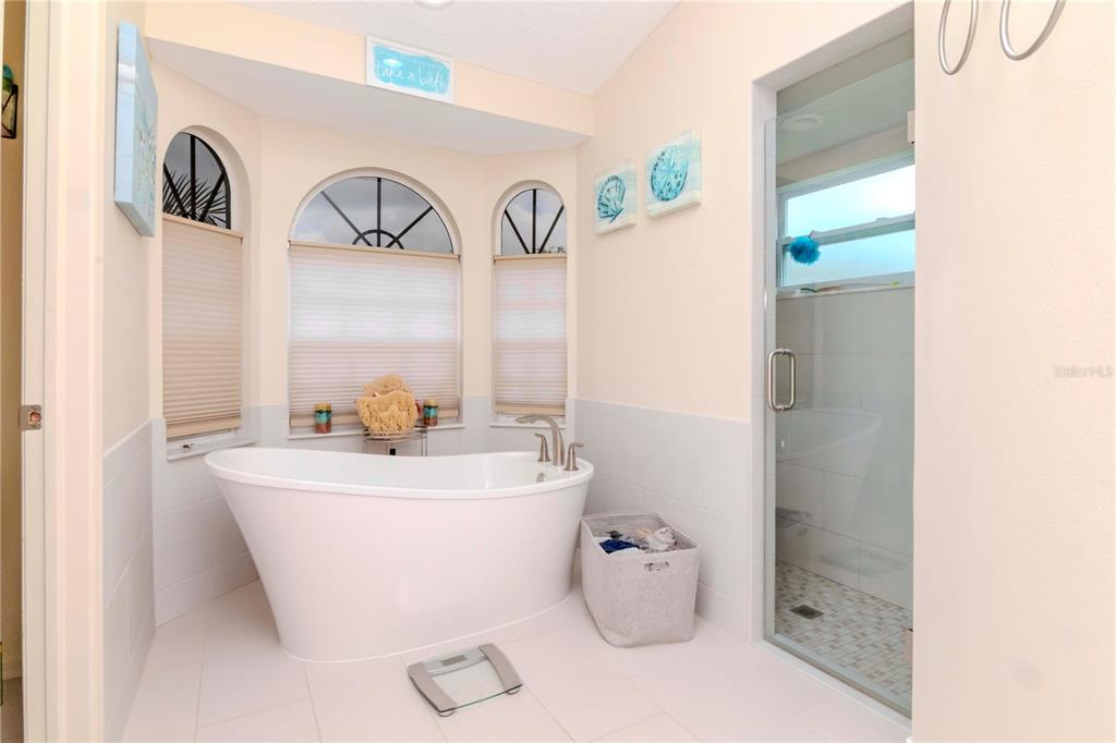 9722 Hermosillo Drive New Port Richey, FL 34655 - Photo 18 of 58 Master Bath