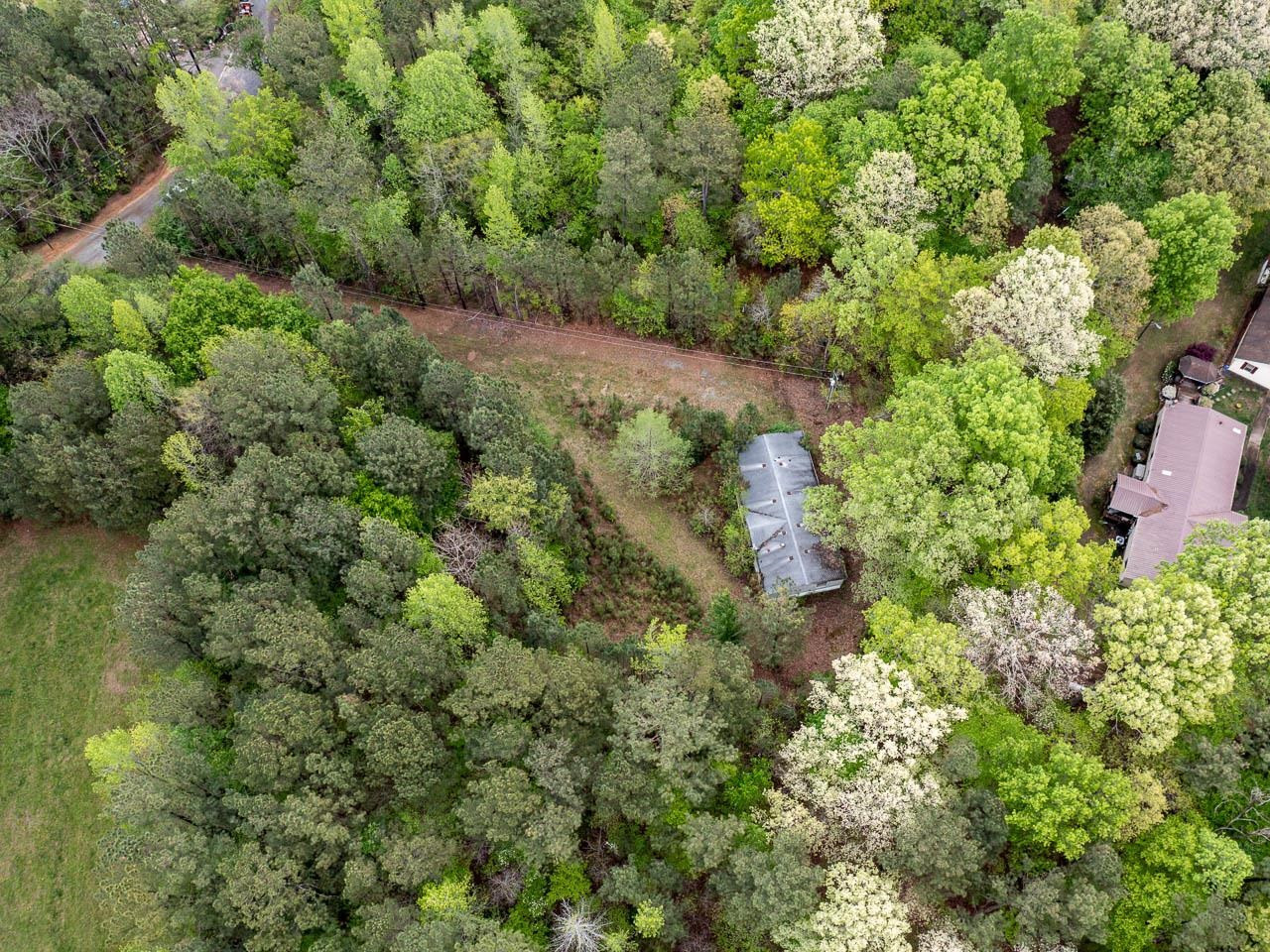 220 Alvis Alston Road Pittsboro, NC 27312 - Photo 4 of 25 Photo 4