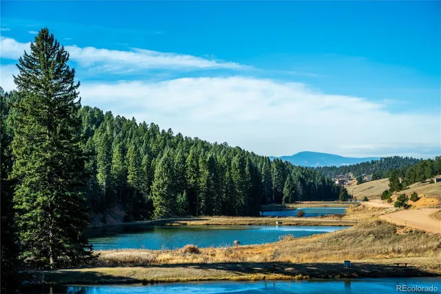 $450,000 | 70 Cheesman Lake Circle, Divide, CO 80814