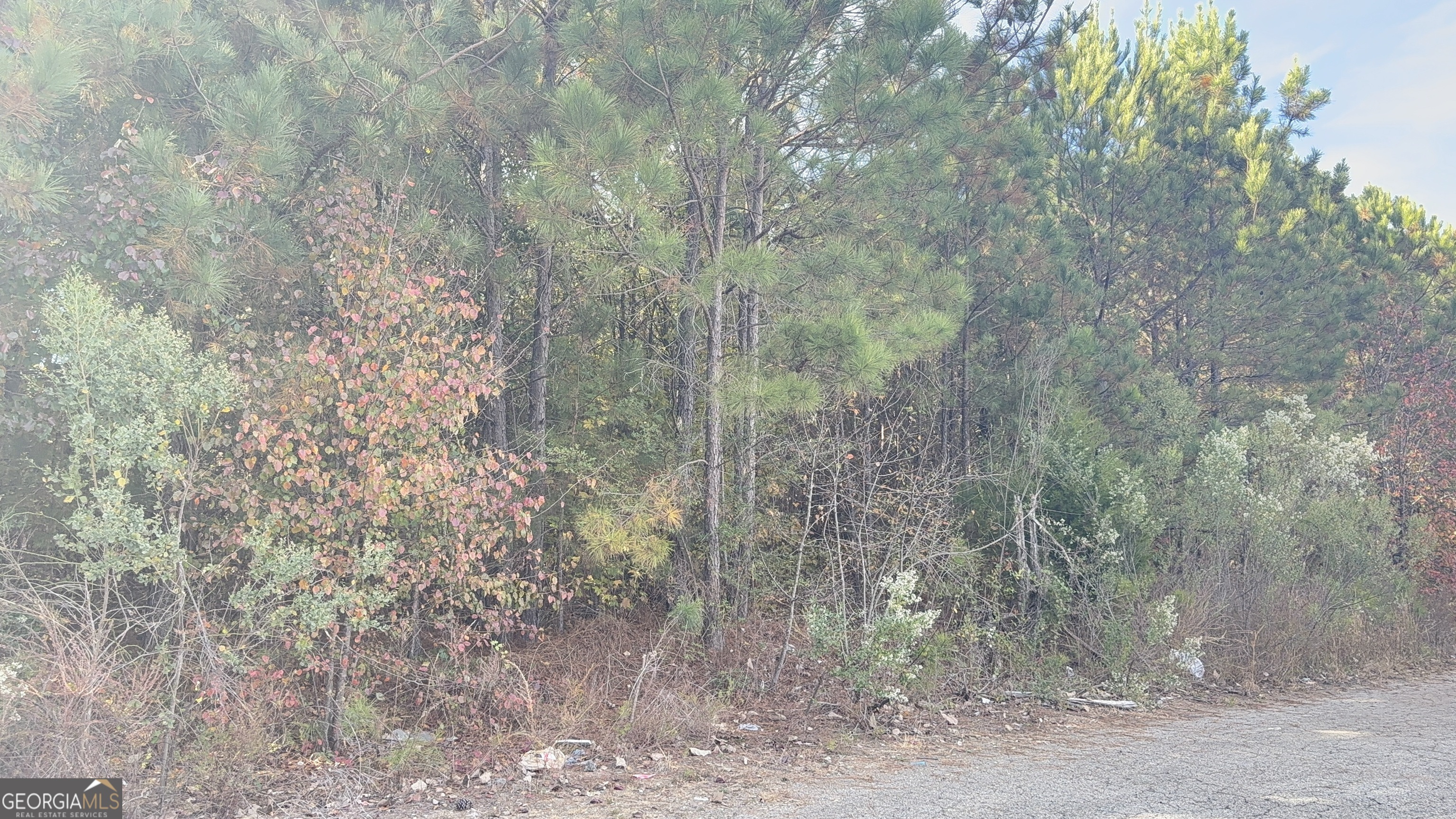 8640 Webb Road Riverdale, GA 30274 - Photo 6 of 6 a backyard of a house with lots of green space