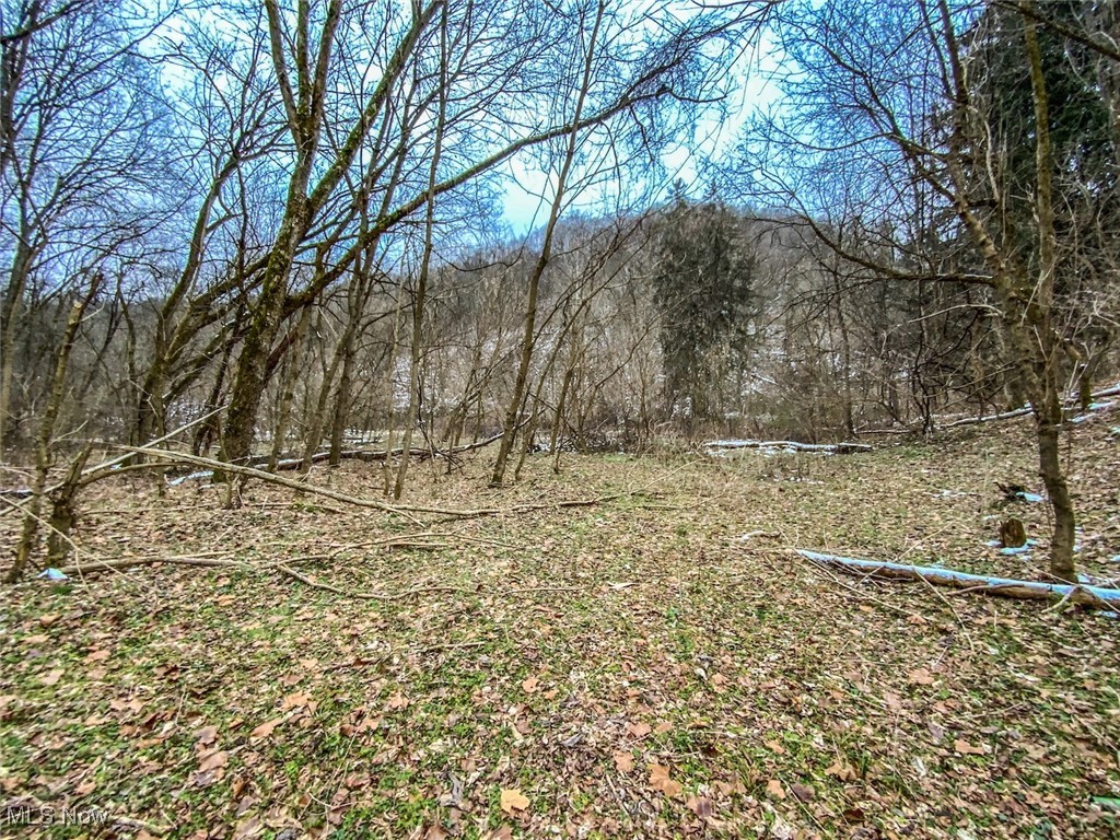 0 Trough Run Road Bellaire, OH 43906 - Photo 8 of 46 View of yard with a forest view