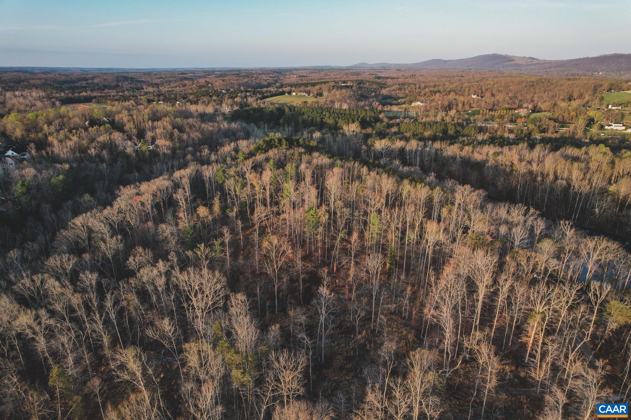 42 Shadwell Road Keswick, VA 22947 - Photo 15 of 75