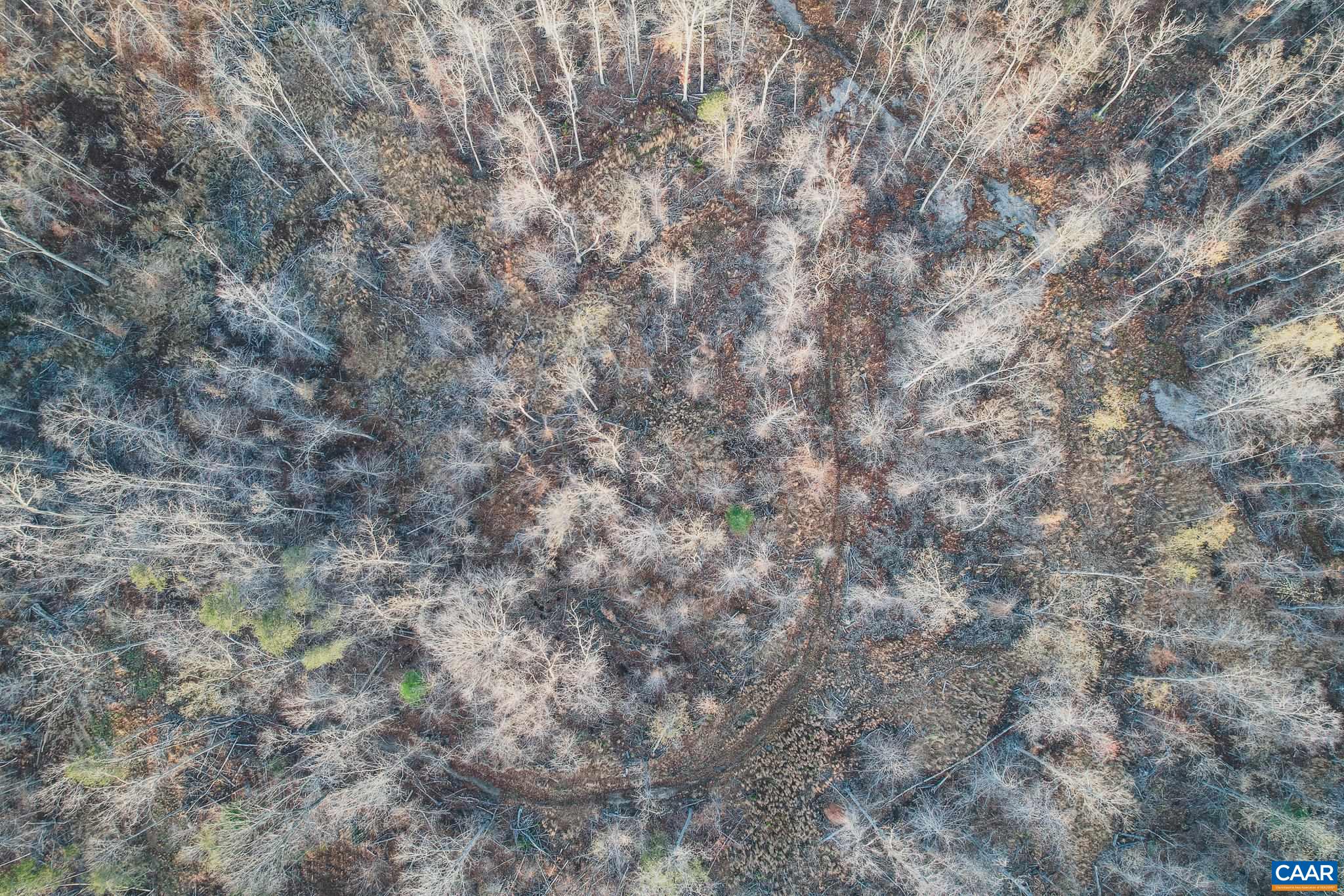 42 Shadwell Road Keswick, VA 22947 - Photo 16 of 75