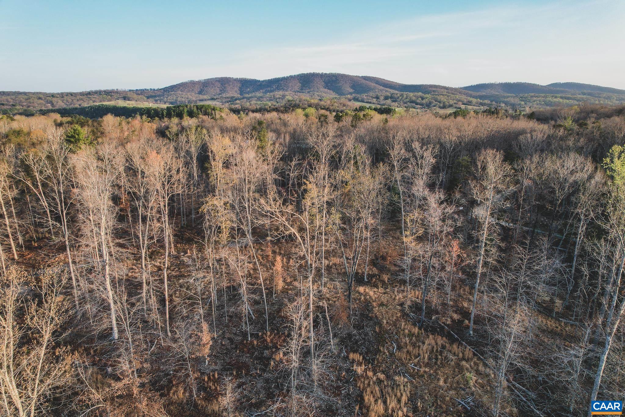 42 Shadwell Road Keswick, VA 22947 - Photo 24 of 75