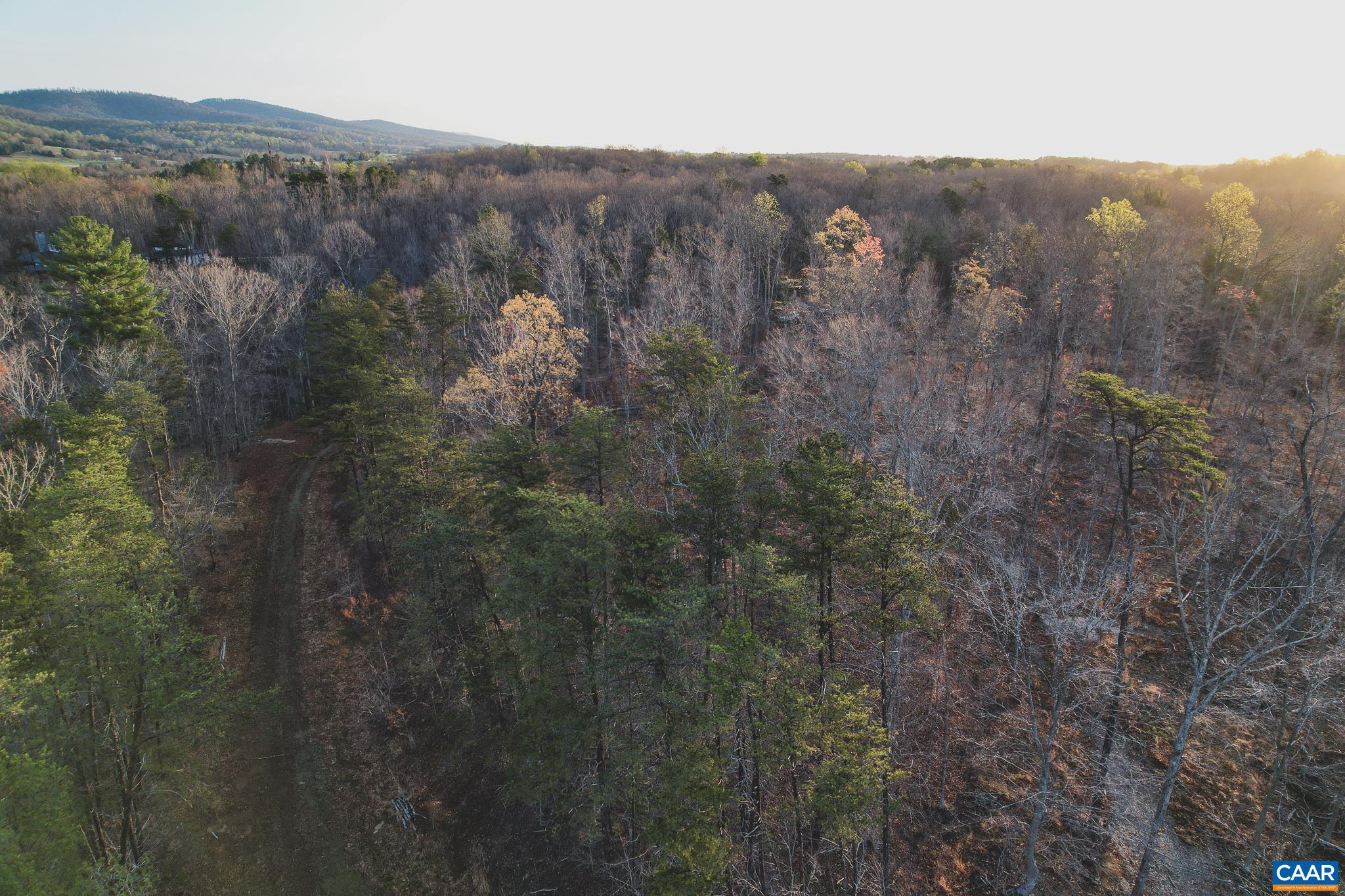 42 Shadwell Road Keswick, VA 22947 - Photo 28 of 75