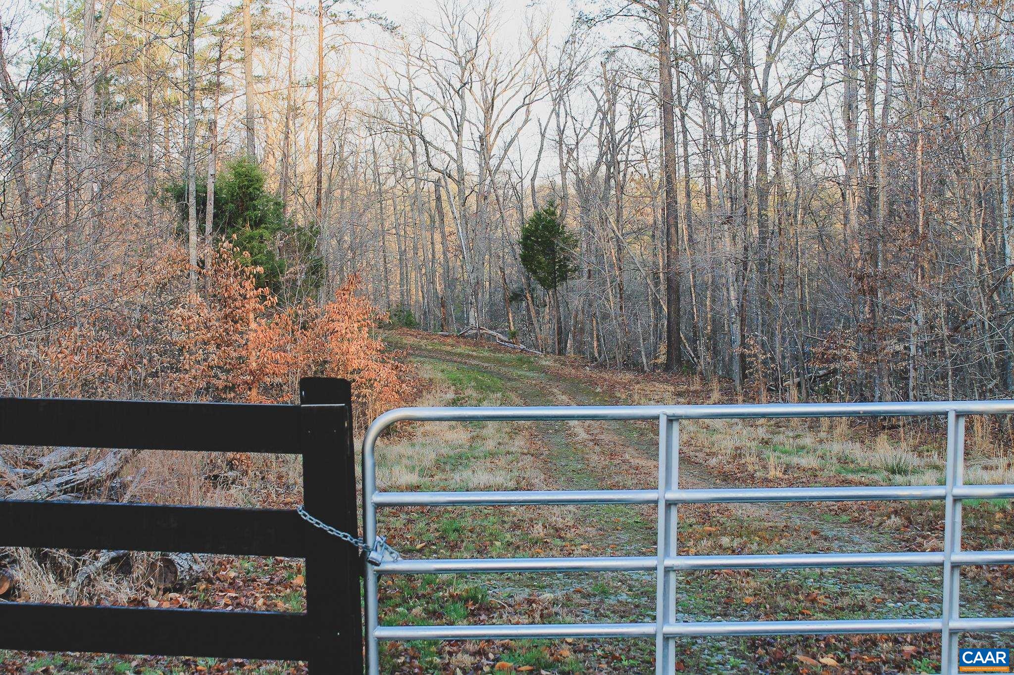 42 Shadwell Road Keswick, VA 22947 - Photo 30 of 75