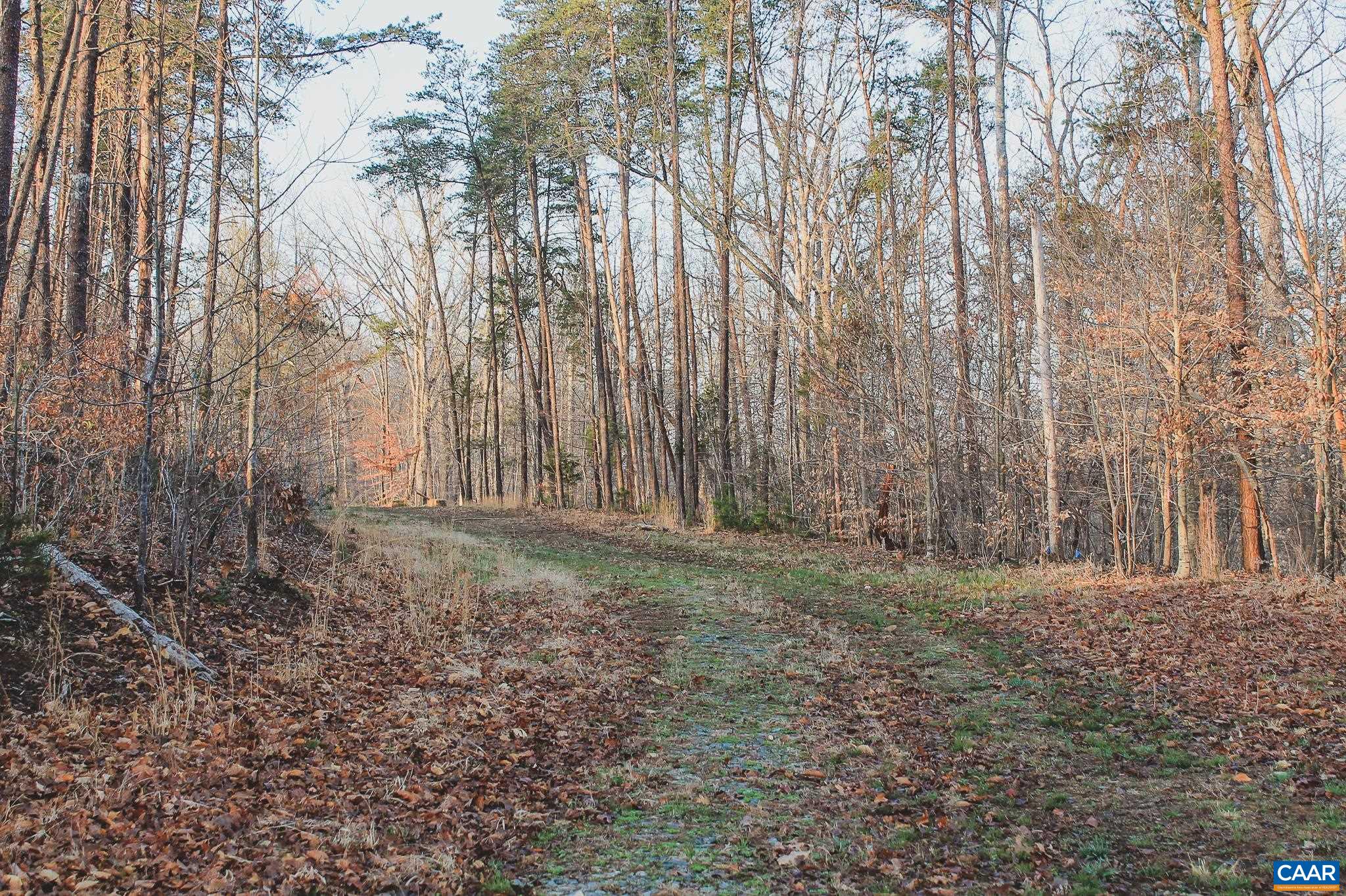 42 Shadwell Road Keswick, VA 22947 - Photo 31 of 75