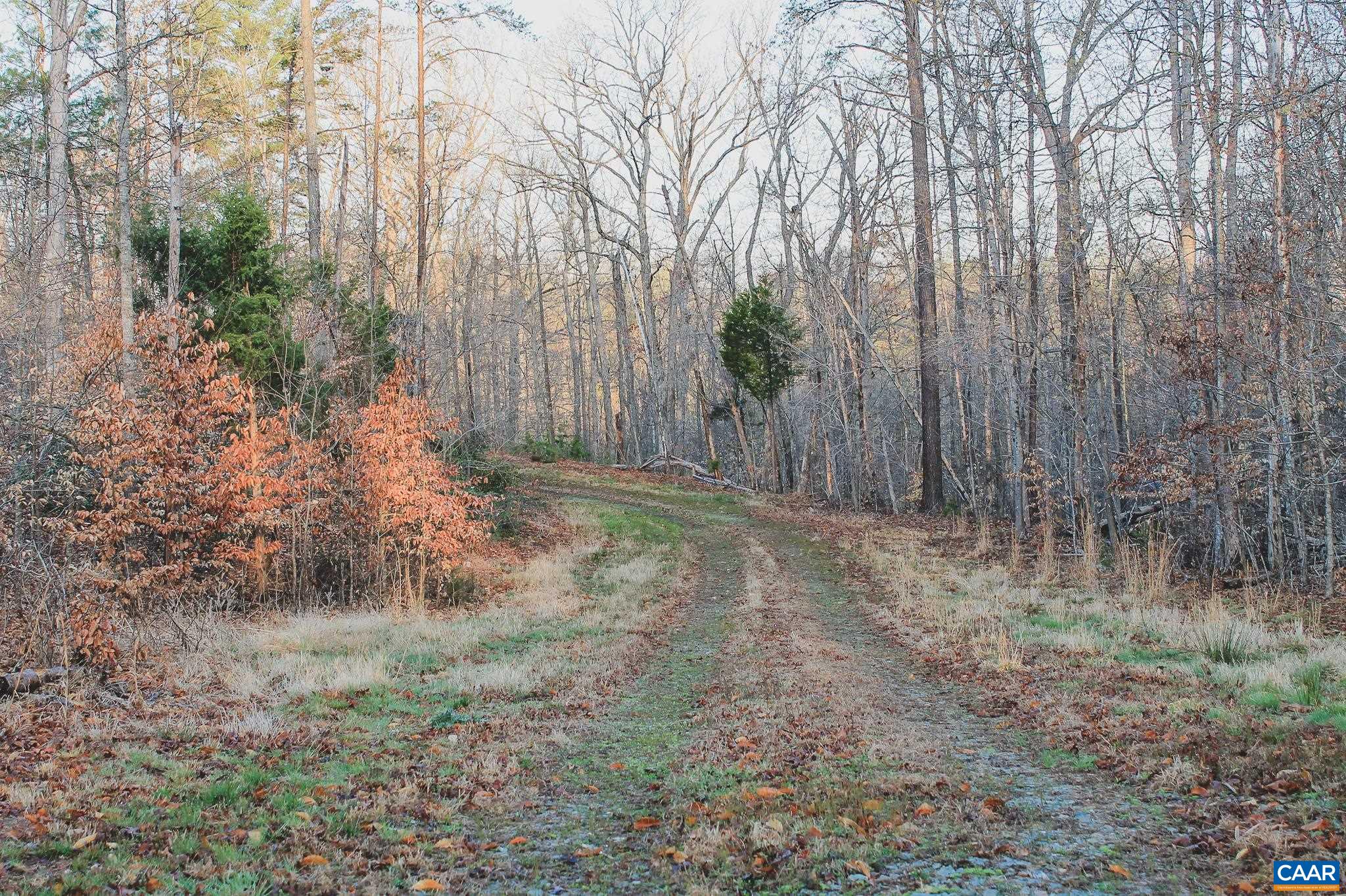 42 Shadwell Road Keswick, VA 22947 - Photo 32 of 75