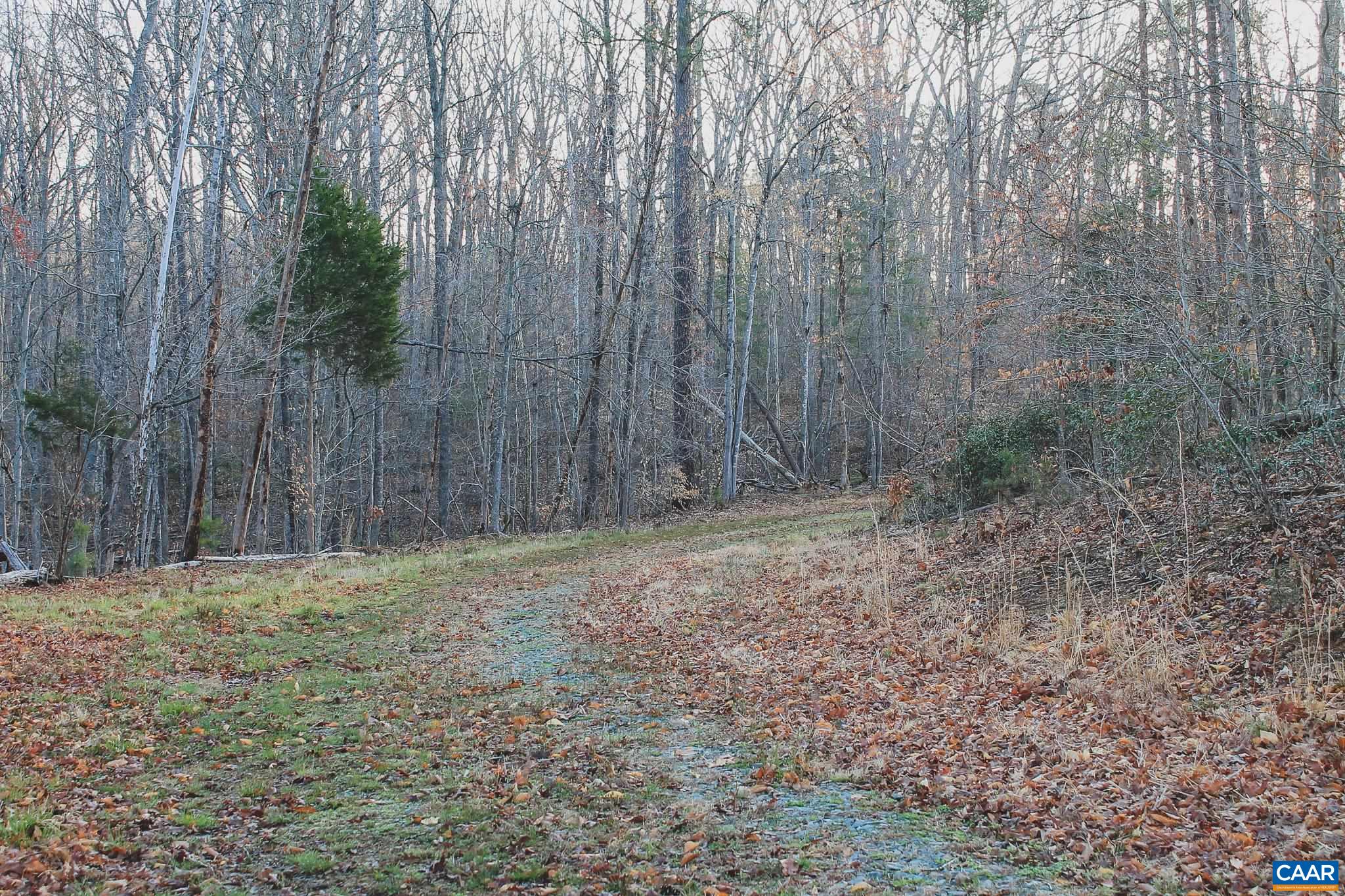 42 Shadwell Road Keswick, VA 22947 - Photo 41 of 75