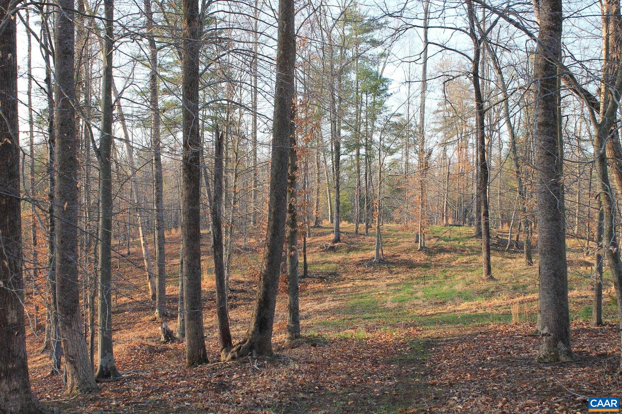 42 Shadwell Road Keswick, VA 22947 - Photo 42 of 75