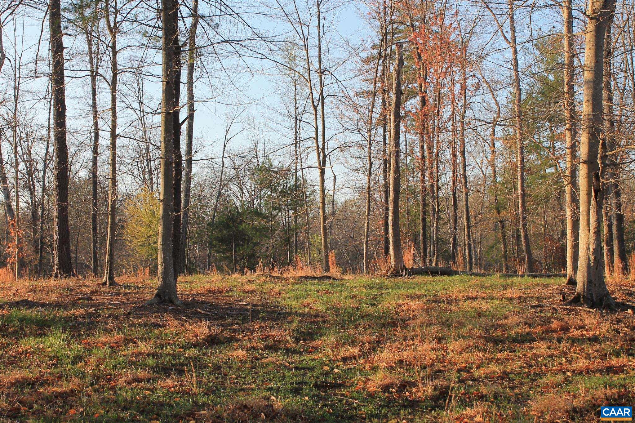 42 Shadwell Road Keswick, VA 22947 - Photo 43 of 75