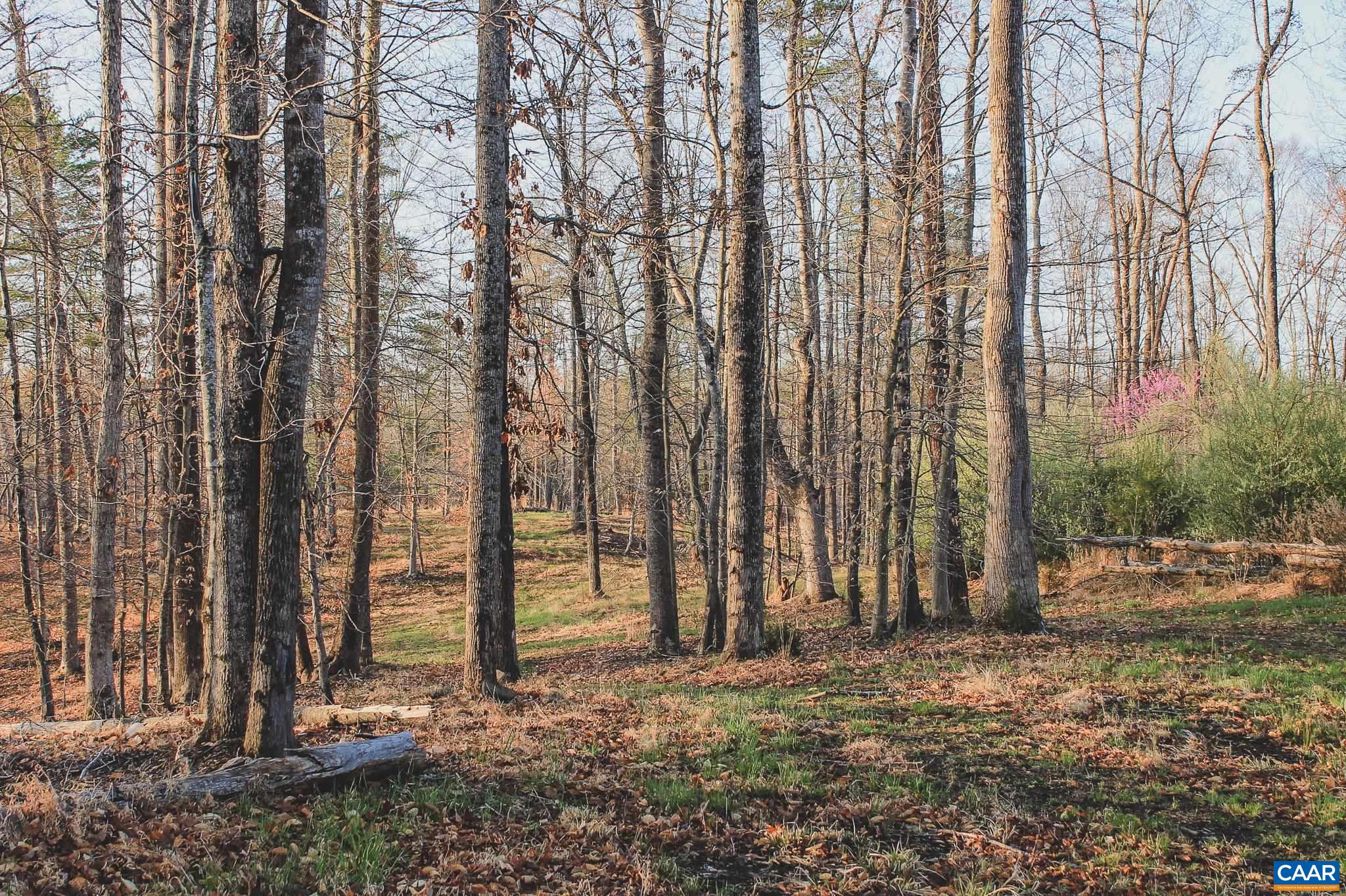 42 Shadwell Road Keswick, VA 22947 - Photo 44 of 75