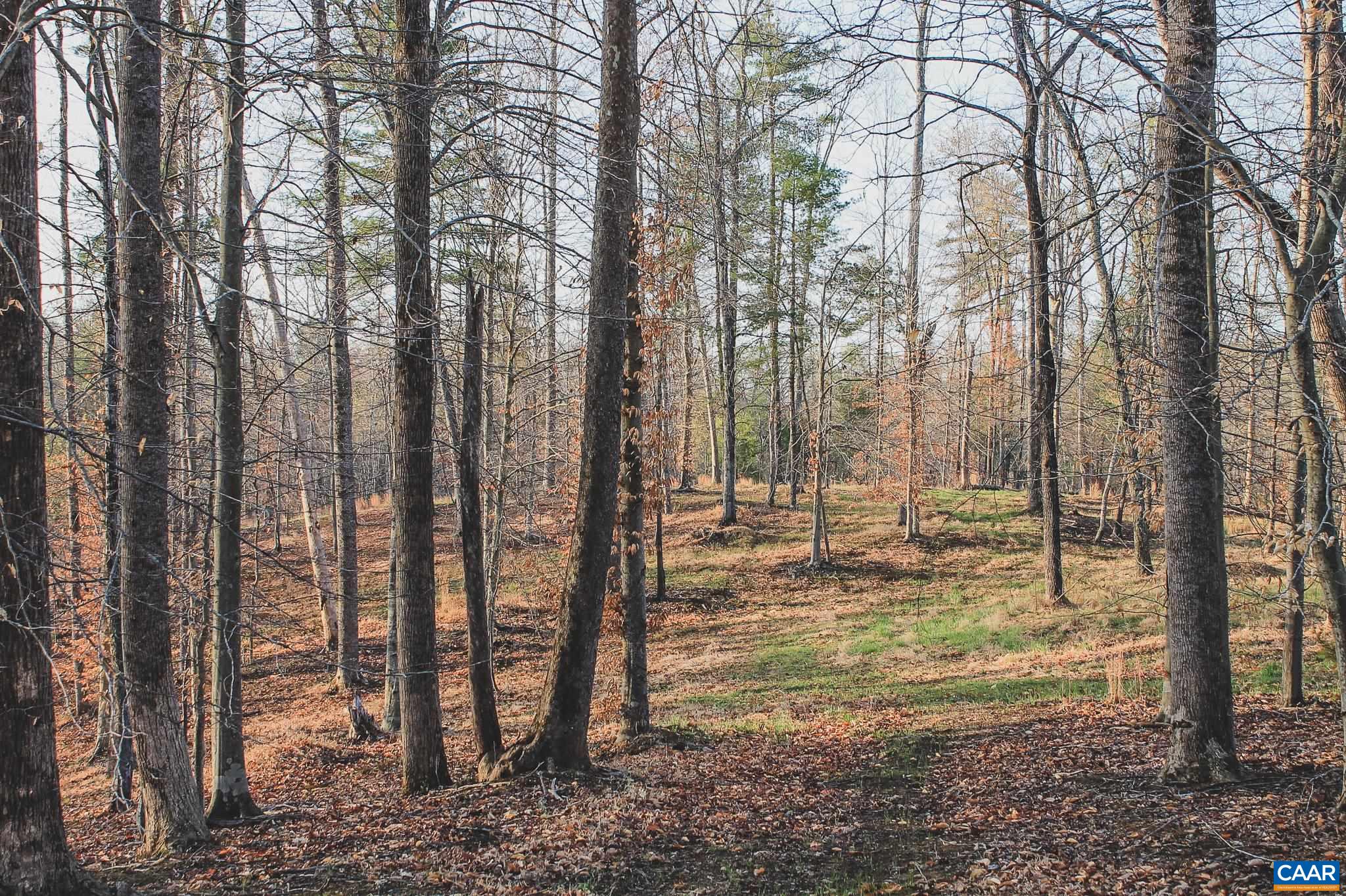 42 Shadwell Road Keswick, VA 22947 - Photo 45 of 75