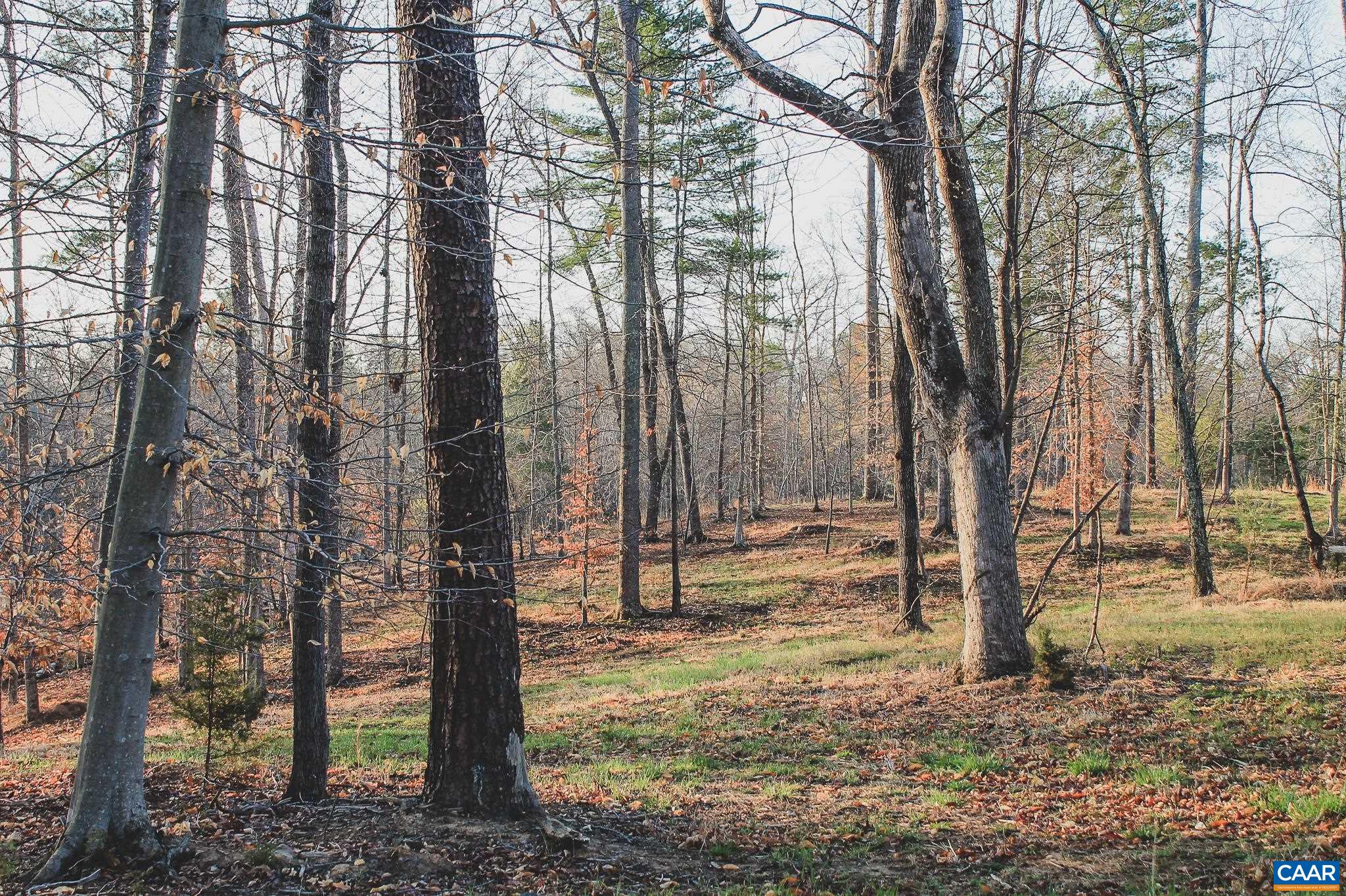 42 Shadwell Road Keswick, VA 22947 - Photo 46 of 75