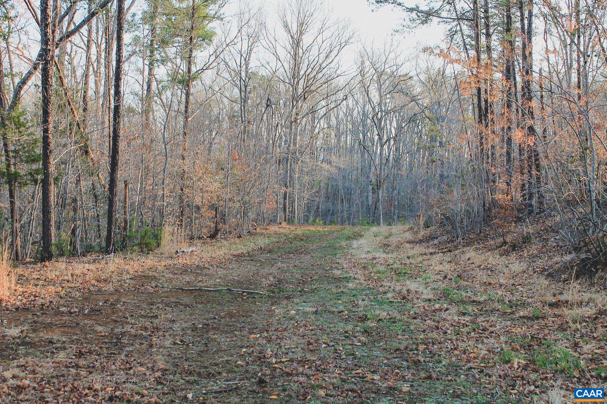 42 Shadwell Road Keswick, VA 22947 - Photo 47 of 75