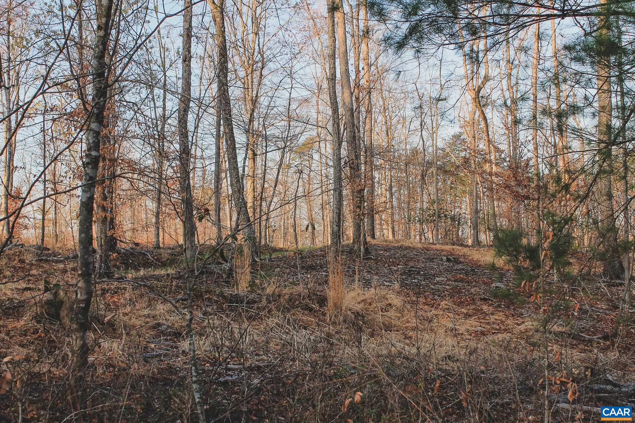 42 Shadwell Road Keswick, VA 22947 - Photo 48 of 75