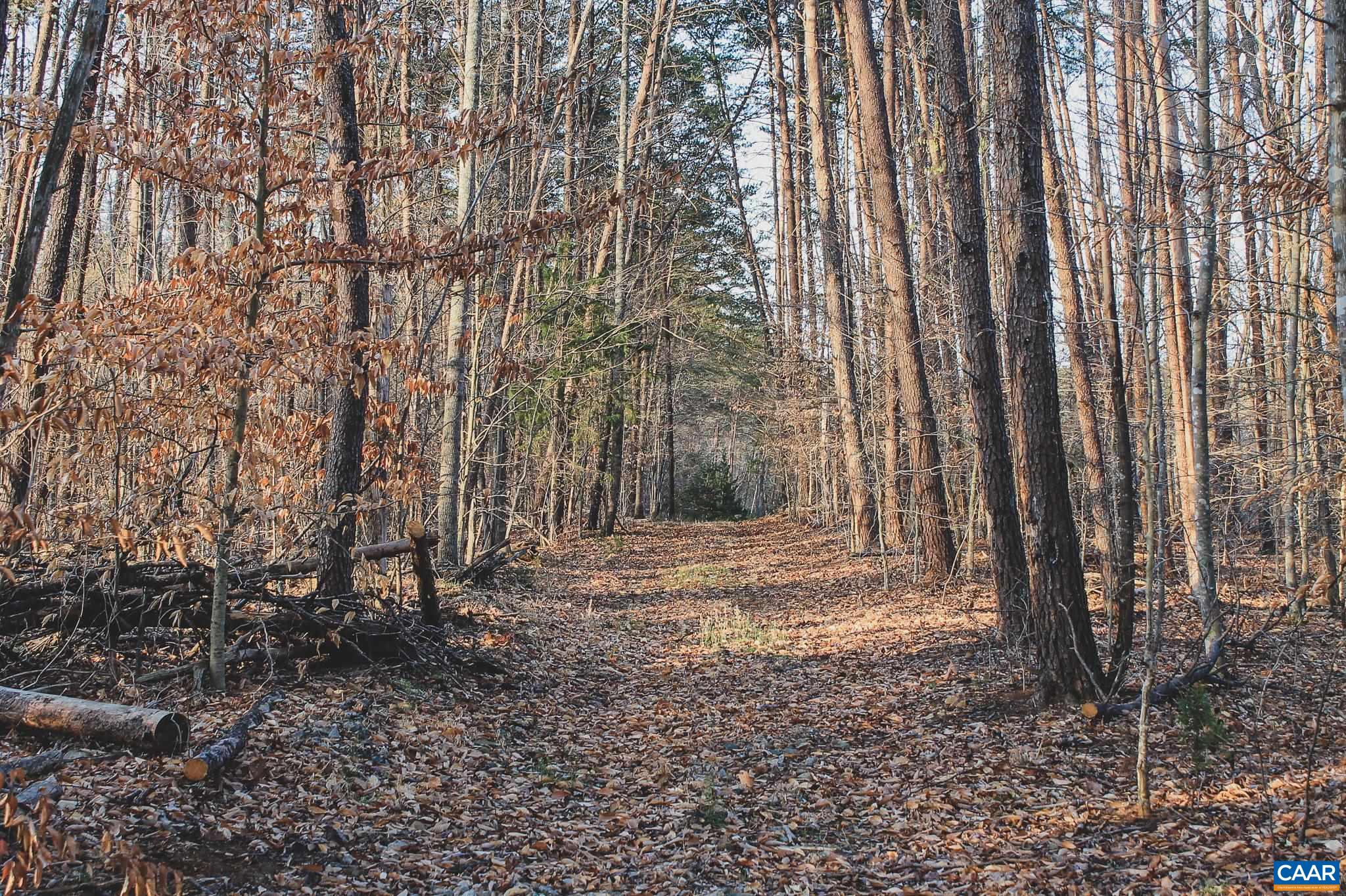 42 Shadwell Road Keswick, VA 22947 - Photo 49 of 75